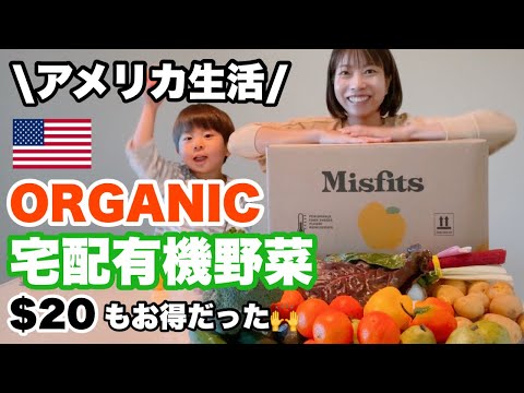 【ロサンゼルス宅配野菜】アメリカの野菜定期MisfitsMarketがすごいよかった☆ワケあり野菜 有機野菜 定期購買 1日10種野菜