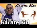 Is THE KARATE KID 1984 Better Today? (Cobra Kai) - Black Nerd Retro Retcon Review