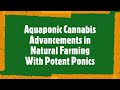 Aquaponic cannabis advancements in natural farming with potent ponics aquaponic cannabis conference