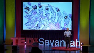 Where have our shrimpers gone? | Marc E. Frischer, Ph.D | TEDxSavannah