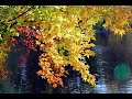 The Colors of Fall in Central Park