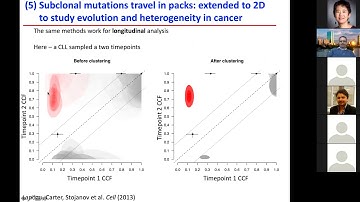 STAT115 Chapter 23.4 Tumor Purity and Clonality