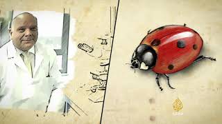 وثائقي: حشرات ملهمة كائنات مختلفة