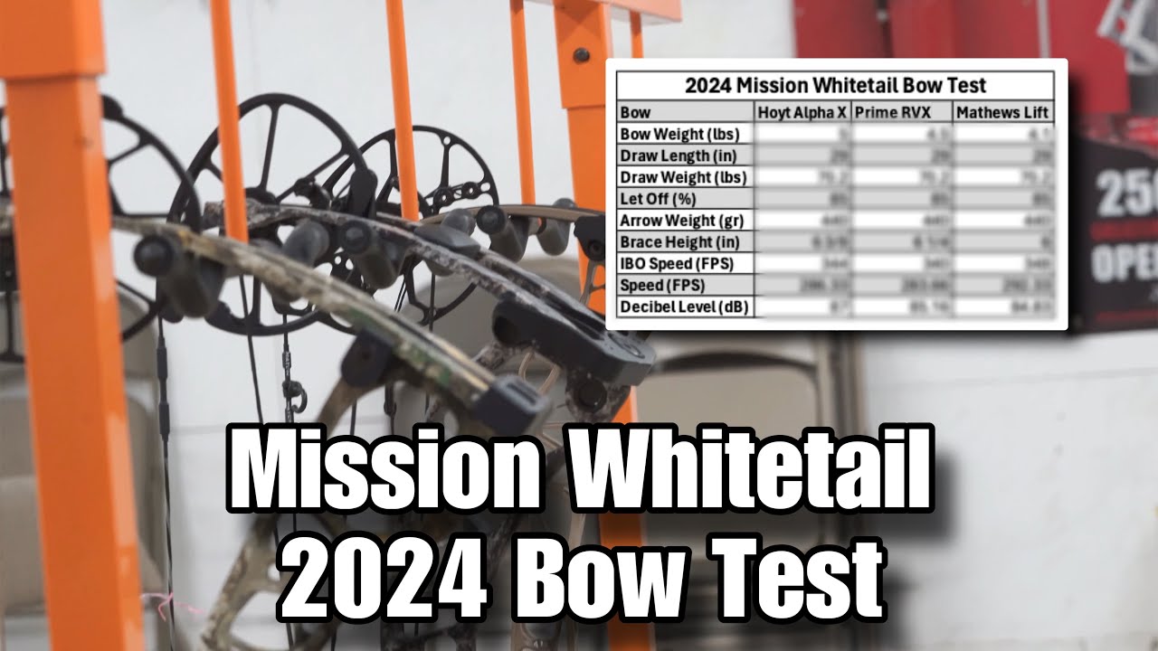2024 Bow TEST!!!! Mathews, Prime, Hoyt Which performs better? YouTube