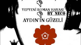 Şevket Uğurçay-Aydın'ın GüzeLi Roman Havası **by neco** Resimi