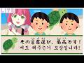 なんかおかしい昔話なのだ！ | 뭔가 정신나간 옛날이야기