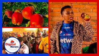 SIGRADA MLIGO MBUNGE CHAUMA KUWATAFTIA MASOKO WAKULIMA WA  APPLE NJOMBE/SIKUTEGEMEA