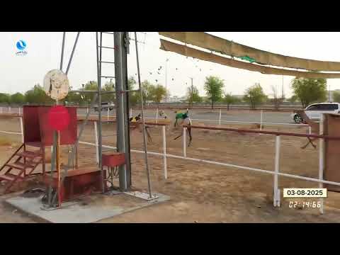 فيديو ميدان السد03 08 2025 يوم الاحدشارة الشيخ طحنون بن محمد ال نهيان طيب الله ثراه