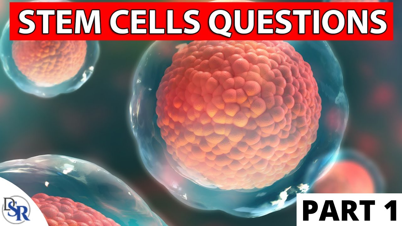 Stem Cell FAQ - Your Most Important Questions Answered - Part 1