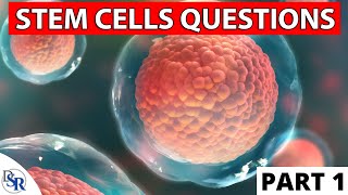 Stem Cell FAQ - Your Most Important Questions Answered - Part 1