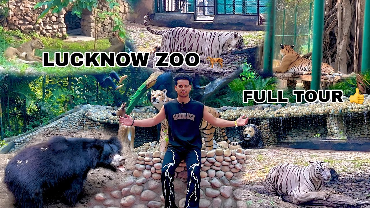 LUCKNOW ZOO FULL TOUR 2025 ☺️ NAWAB WAJID ALI SHAH ZOOLOGICAL GARDEN ❤️ #zoo #vlog 