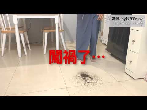 伊萊克斯 超級完美管家POWERPRO 拋光滾刷版 輕鬆吸塵取代拖地 (ZB3425BL)