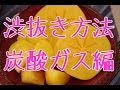 柿の渋抜き方法(1) 炭酸ガスで庄内柿の渋がとれる。刀根早生は渋柿。山形県庄内地方特産品 Shonaikaki Japanese Persimmon