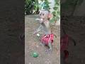 Adorable Sokhaa So CUTE And SMART WILL MAKE YOU SMILE Adorable Sokhaa So CUTE And SMART WILL MAKE YOU SMILE