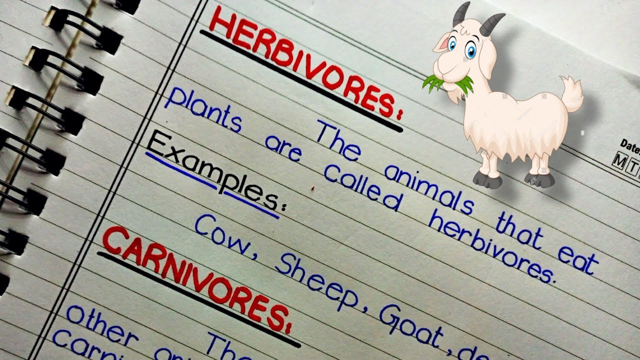 Herbivores, Carnivores Omnivores Definition of Herbivores, Carnivores