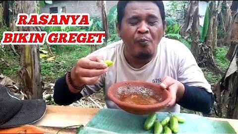 MAKAN RUJAK BELIMBING WULUH BIKIN MEREM MELEK