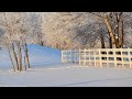 Our First Winter storm Approaches!