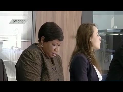 ჰააგის სასამართლოს წარმომადგენლების ვიზიტი