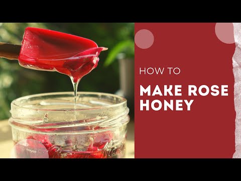 Video: Rose Petal Honey Recipes: How To Make Rose Petal Honey