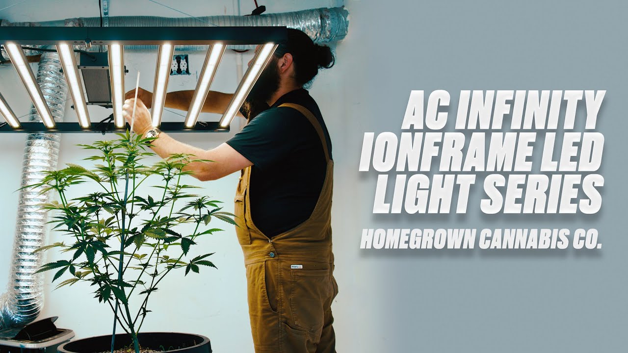 AC Infinity Ionbeam Grow Light Series Unboxing: The Ultimate Lighting  Solution for Thriving Plants! 