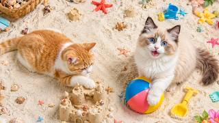 12 Hours Healing Music for Cats 😽 Cat Calming Music 🐾 Gentle Tunes for Anxious Cats 🐈 Cat TV