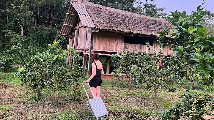 The girl's arduous journey back to her old house after 15 years..?