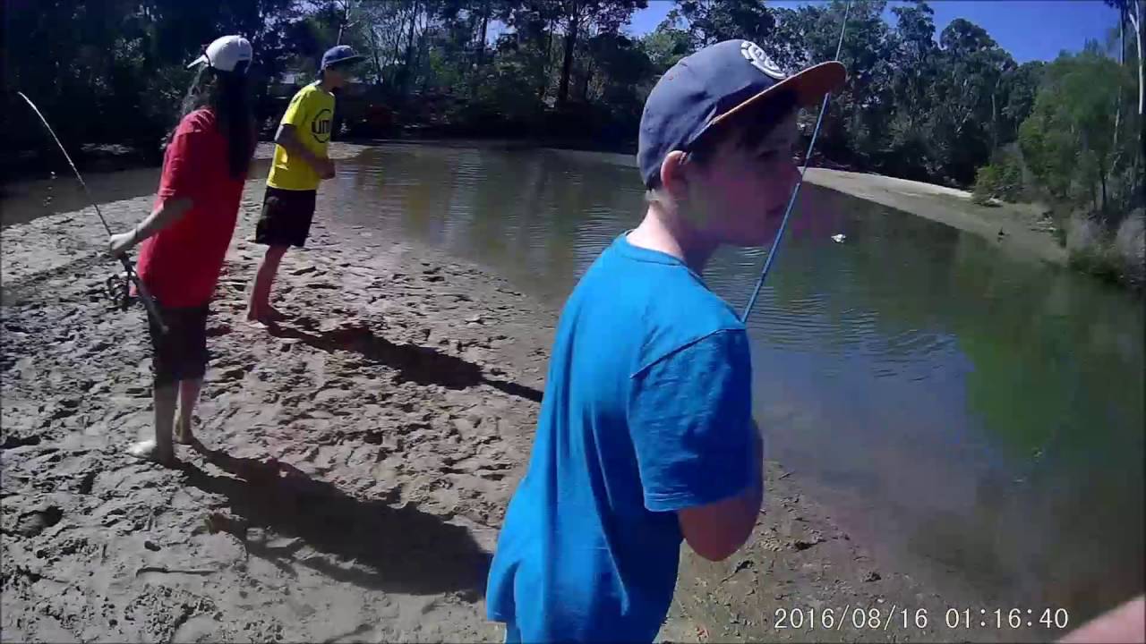 Fishing mountain creek sunshine coast. YouTube