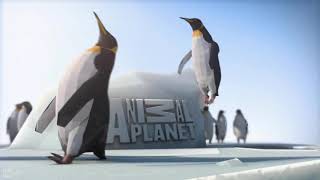 Animal Planet Penguins Bumper 2012