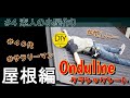【月3万円】素人がお小遣いで小屋作り!!#4~屋根完成・オンデュリンクラシックシート編~