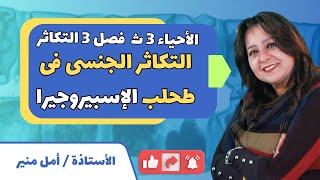 الأحياء للصف الثالث الثانوي { 37 }  التكاثر الجنسي فى طحلب الإسبيروجيرا