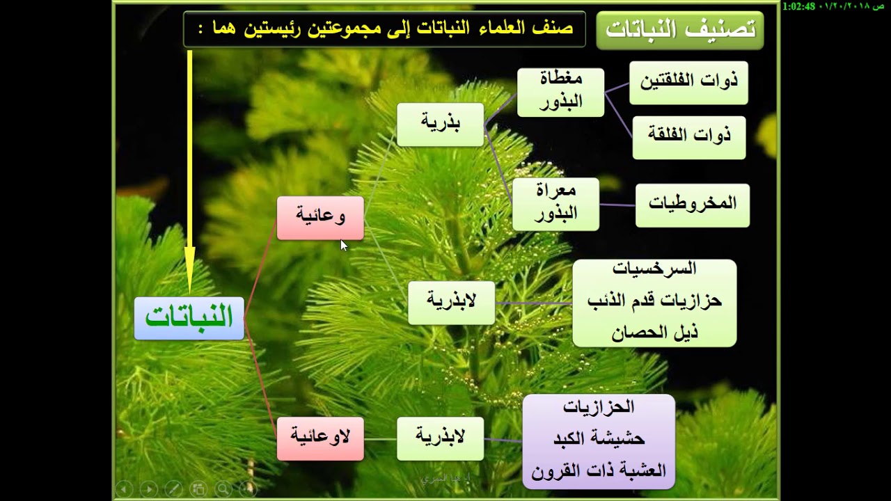 رسالة ماجستير في النباتات تصنيف