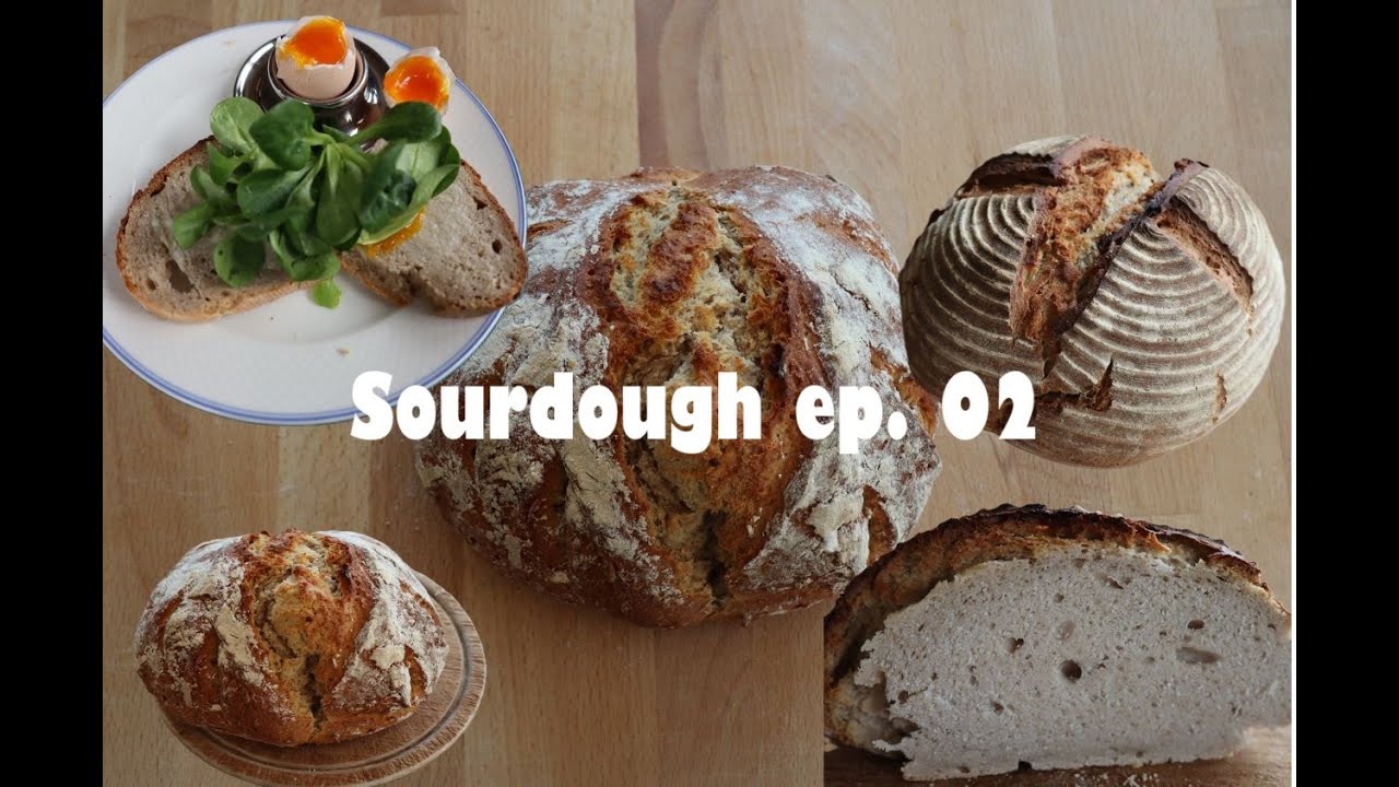 Sourdough ep. 02 #sourdough #baking #bread