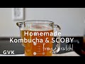 Homemade Kombucha & SCOBY from Scratch