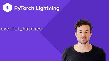 PyTorch Lightning - Sanity Checking Your Auto With Overfit Batches