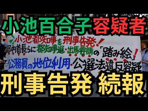 【小池百合子】小池百合子の当選無効を訴える集い(抜粋/字幕付き)【公選法違反】