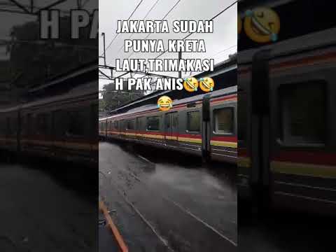 Video: Bagaimana Berperilaku Di Trem