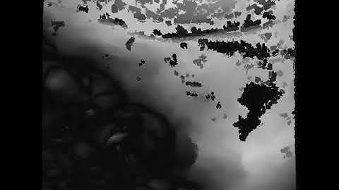 Multi-Label Anisotropic Euclidean Distance Transform 3D