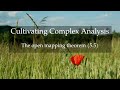 53. The open mapping theorem (Cultivating Complex Analysis 5.5)