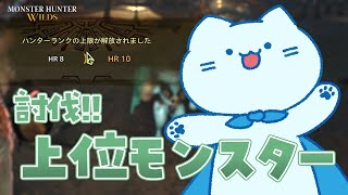【MHWs】上位！狩りまくるぞ＝！！￤ネタバレ注意【#アオイネコ / Vtuber】