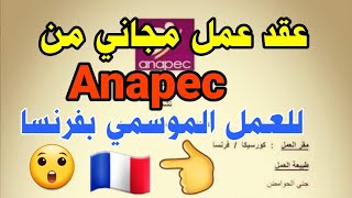 خبر عاجل من Anapec  : غذا بداية التسجيل في العقود الموسمية المجانية للعمل بفرنسا