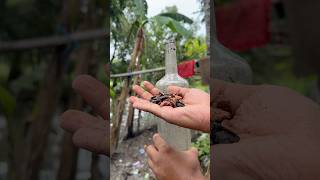 Clean any glass bottle in 1 minute #shorts #mrhamk