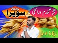 Sawera 2024 Wheat Variety نئی گندم جس نے سب کو حیران کر دیا High Yield Rust Resistant Review