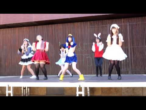 Yume Café | 大きな愛でもてなしてを踊ってみた [Ooki na Ai de Motenashite]