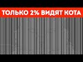 Самые необычные оптические иллюзии, чтобы запутать вашего друга!