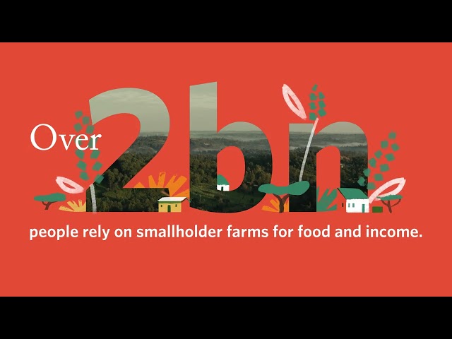Watch One Acre Fund Global Croptake on YouTube.
