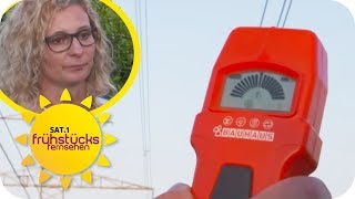 Leben unter einer Starkstromleitung: Elektro-Smog macht Familie krank! | SAT.1 Frühstücksfernsehen