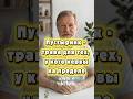 Пустырник - лучшее средство от нервов, тревожности и беспокойства