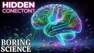 Microbiome How Gut Bacteria Influence Your Brain | Boring Science