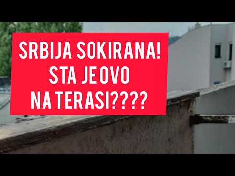 UZIVO: HAOS u