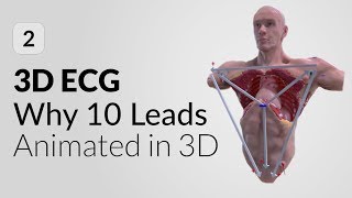 10 lead vs 12 lead ECG explained in 3D | 3D ECG mobile App screenshot 1